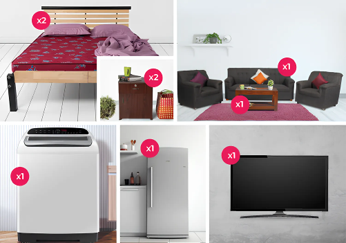 Fully Furnished 2 BHK Combo